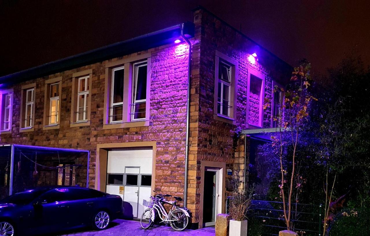 Apartamento Papageiennest Dresde Exterior foto