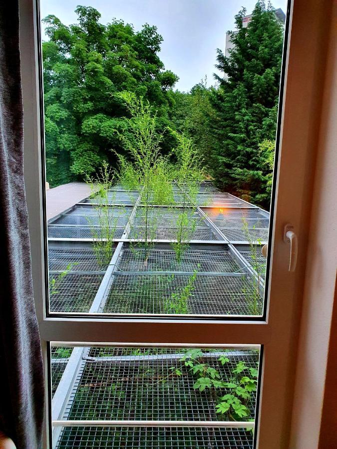 Apartamento Papageiennest Dresde Exterior foto